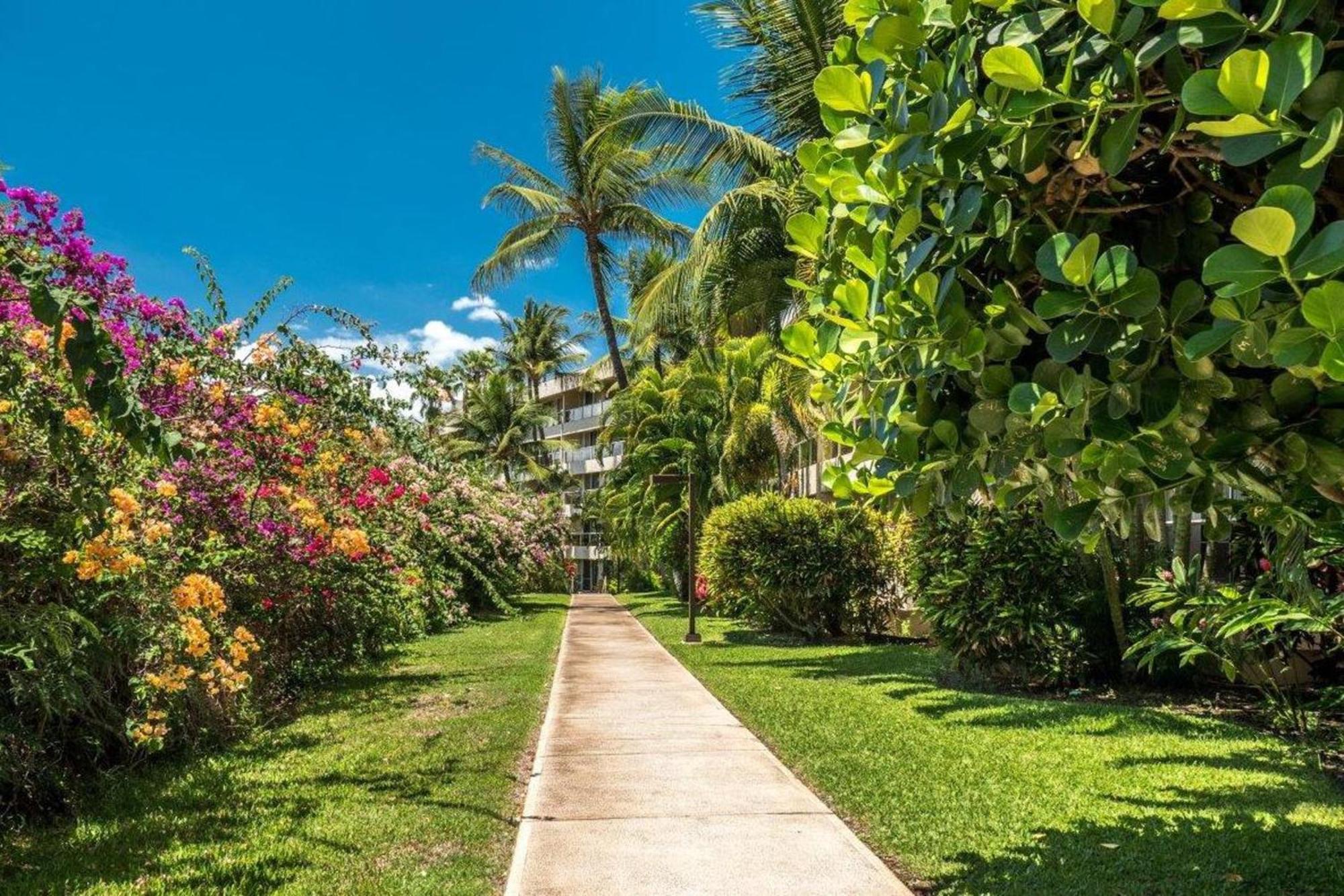 Vila Maui Banyan Wailea  Pokoj fotografie