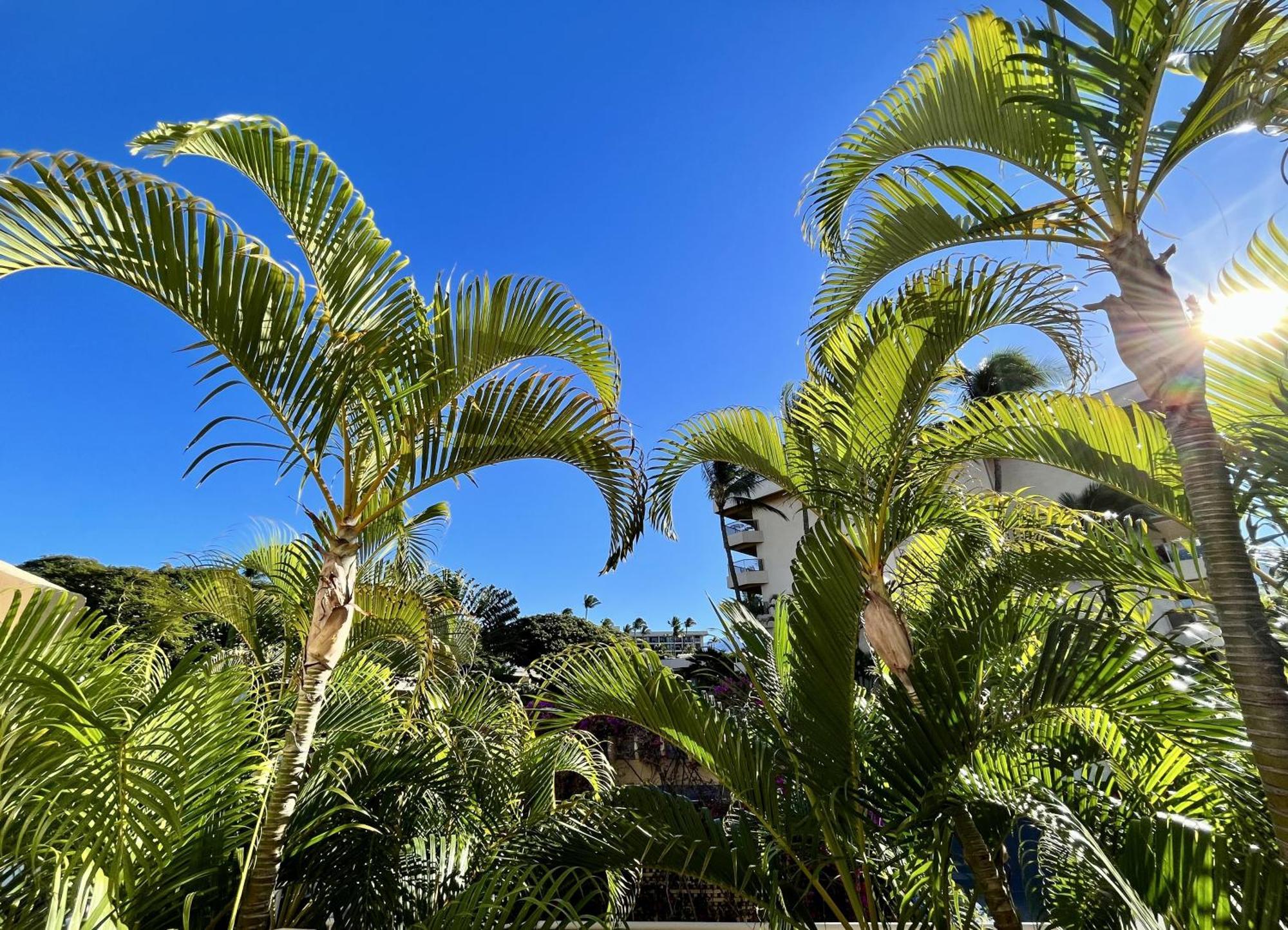 Vila Maui Banyan Wailea  Pokoj fotografie