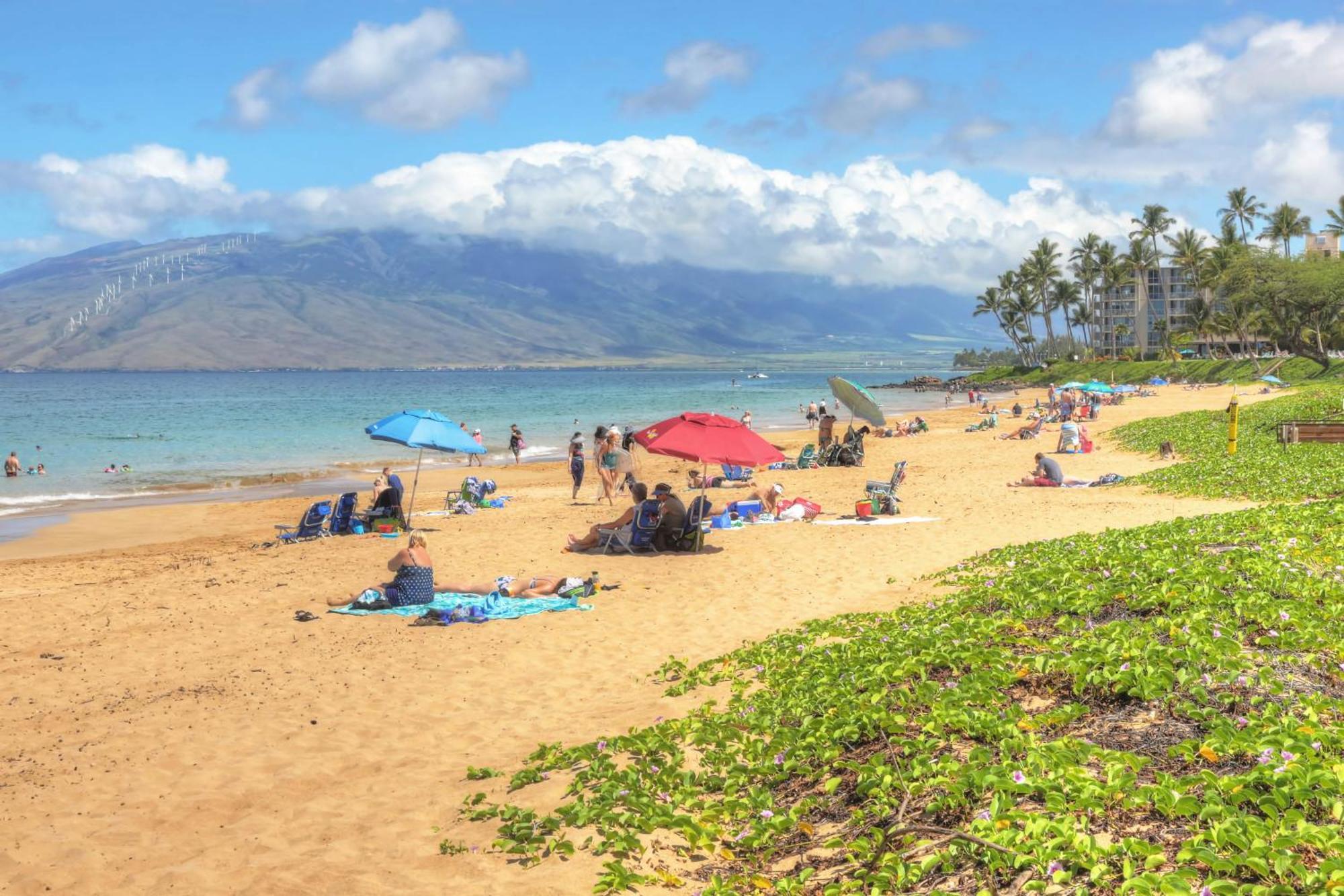 Vila Maui Banyan Wailea  Pokoj fotografie