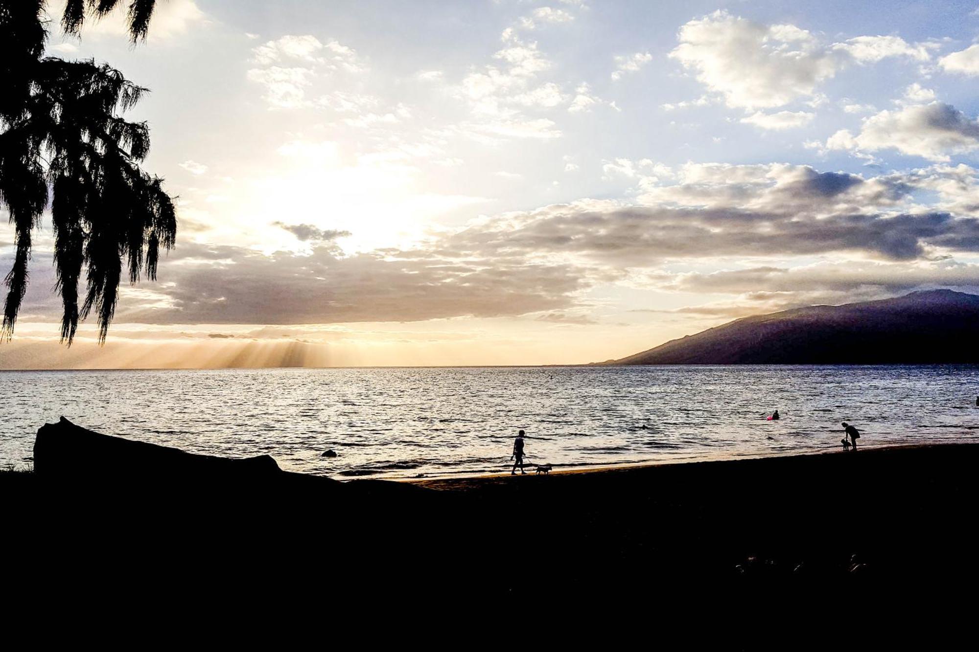 Vila Maui Banyan Wailea  Pokoj fotografie